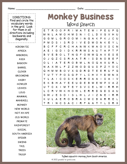 Monkey Word Search