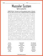 Muscular System Word Search Thumbnail