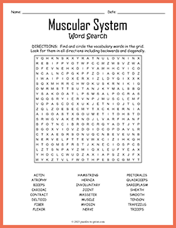 Free printable Muscular System Word Search puzzle worksheet