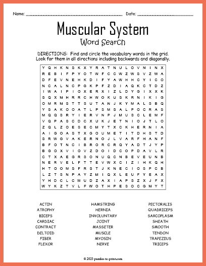 Muscular System Word Search