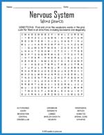 Nervous System Word Search Thumbnail