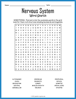 Free printable Nervous System Word Search puzzle worksheet