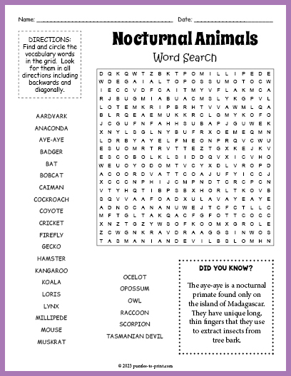 Nocturnal Animals Word Search