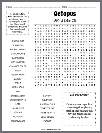Octopus Word Search