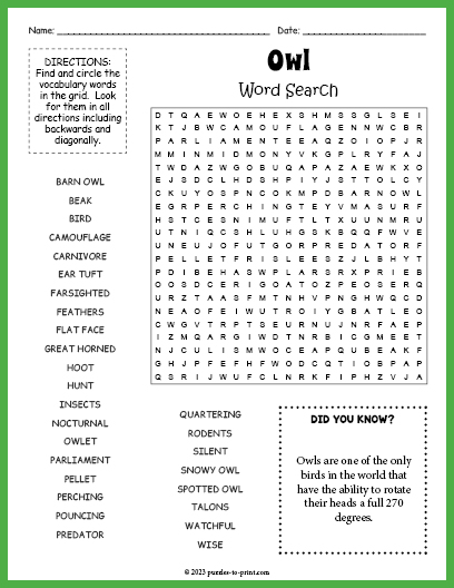 Owl Word Search