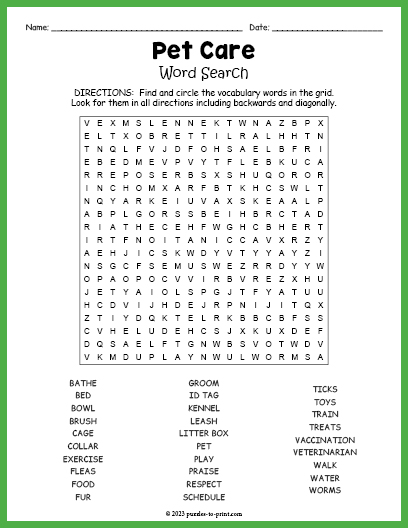 Pet Care Word Search