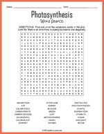 Photosynthesis Word Search Thumbnail