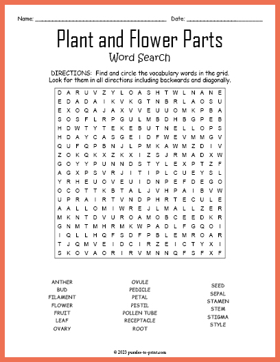 Plant and Flower Parts Word Search