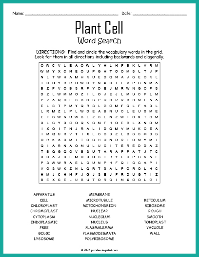 Plant Cell Word Search