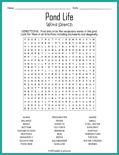Pond Life Word Search