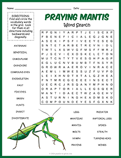 Free Printable Praying Mantis Word Search Puzzle Worksheet