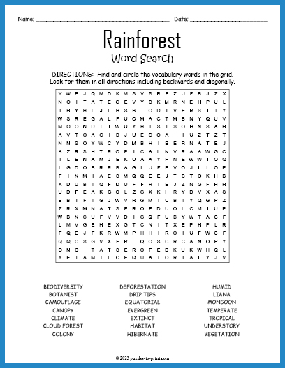 Rainforest Word Search