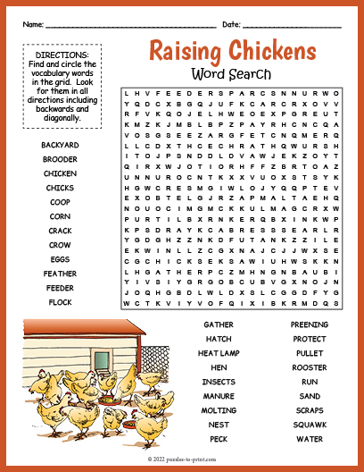 Raising Chickens Word Search