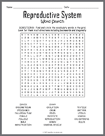 Reproductive System Word Search thumbnail