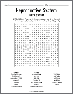 Free printable Reproductive System Word Search puzzle worksheet
