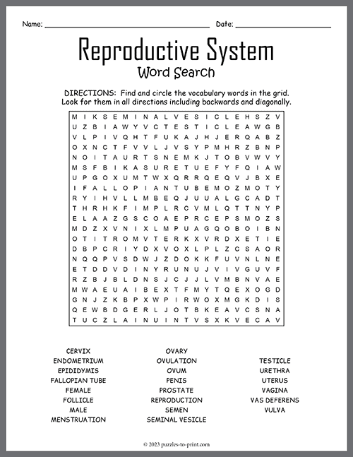 Reproductive System Word Search