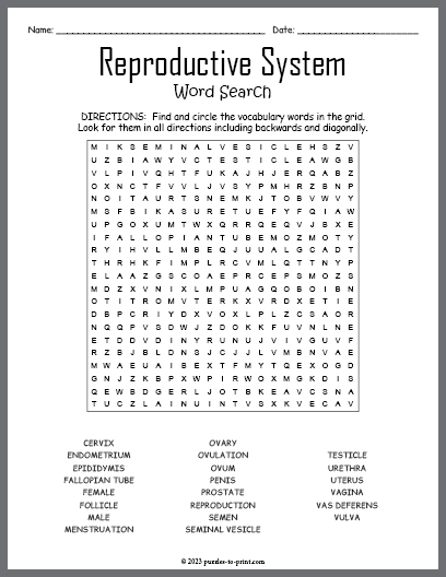 Reproductive System Word Search