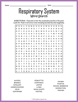 Free printable Respiratory System Word Search puzzle worksheet