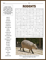 Types of Rodents Word Search thumbnail