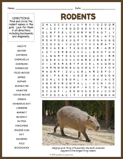 Rodents Word Search