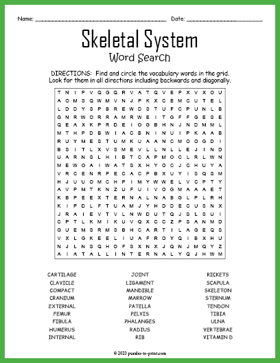 Skeletal System Word Search