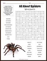 Spider Word Search Thumbnail