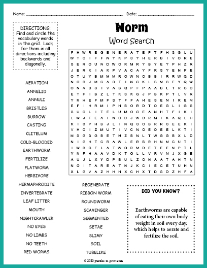 Worm Word Search